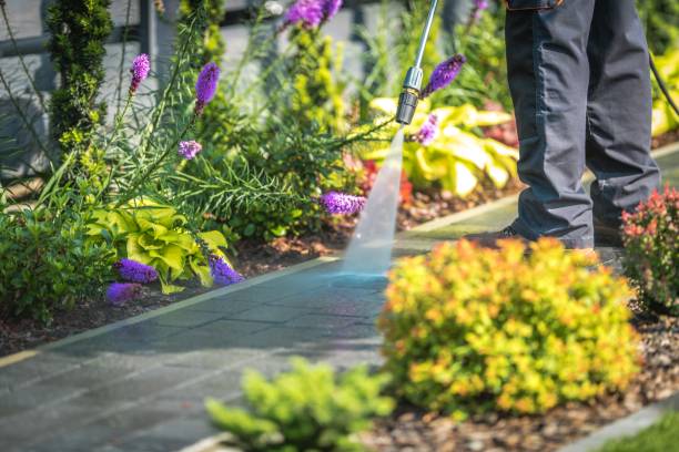 Best Driveway Pressure Washing  in Granbury, TX